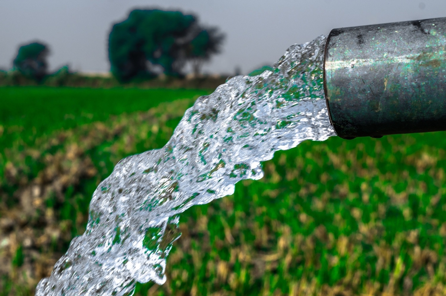 Stainless steel bottle OSAFIA